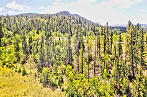 995 Bear Ln, Como, CO 80432 photo 13