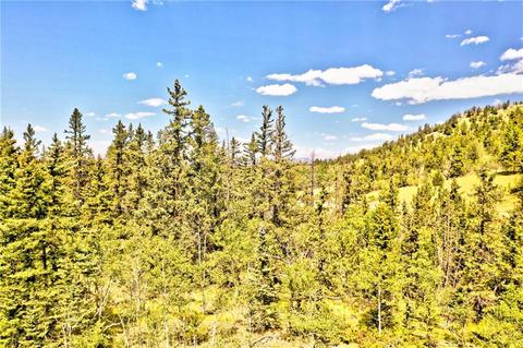 995 Bear Ln, Como, CO 80432 photo 5