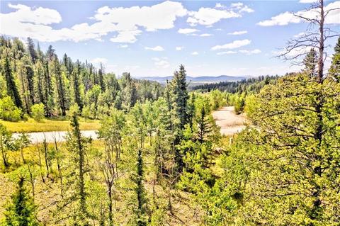 995 Bear Ln, Como, CO 80432 photo 9