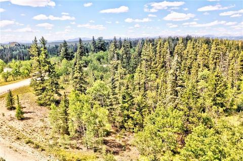 995 Bear Ln, Como, CO 80432 photo 14