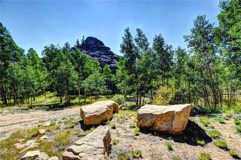1392 W Longbow Dr, Como, CO 80432 photo 35
