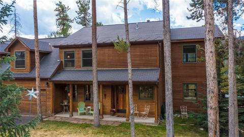 517 Idlewild Dr, Dillon, CO 80435 photo 34