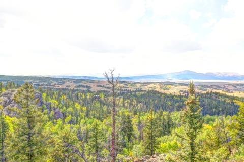 57 Fell Pony Ln, Como, CO 80432 photo 9