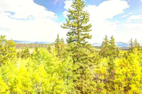 57 Fell Pony Ln, Como, CO 80432 photo 5