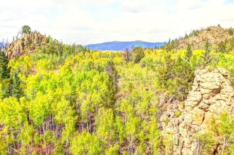 57 Fell Pony Ln, Como, CO 80432 photo 19