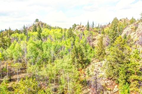 57 Fell Pony Ln, Como, CO 80432 photo 15