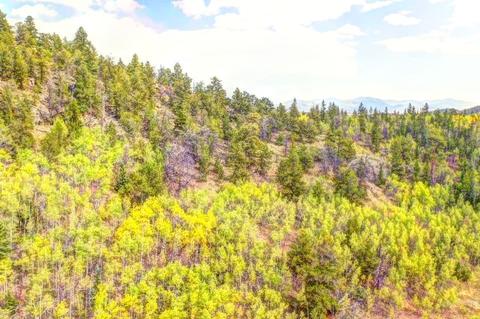 57 Fell Pony Ln, Como, CO 80432 photo 11