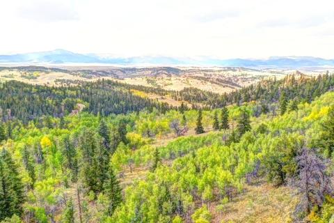 57 Fell Pony Ln, Como, CO 80432 photo 10