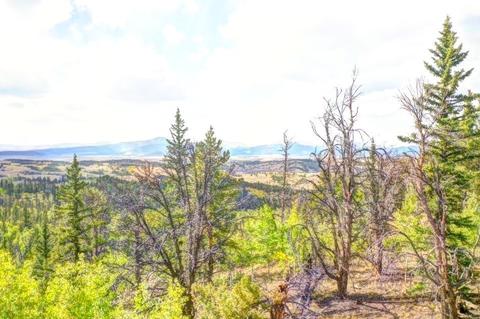 57 Fell Pony Ln, Como, CO 80432 photo 8
