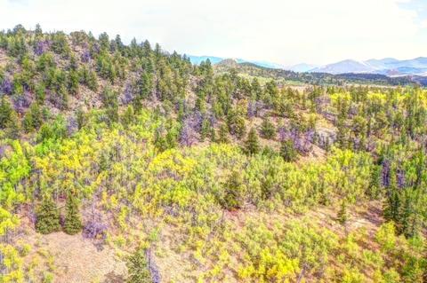 57 Fell Pony Ln, Como, CO 80432 photo 21