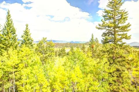 57 Fell Pony Ln, Como, CO 80432 photo 6