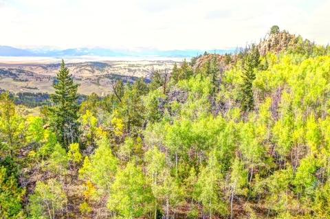 57 Fell Pony Ln, Como, CO 80432 photo 16