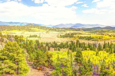 57 Fell Pony Ln, Como, CO 80432 photo 12