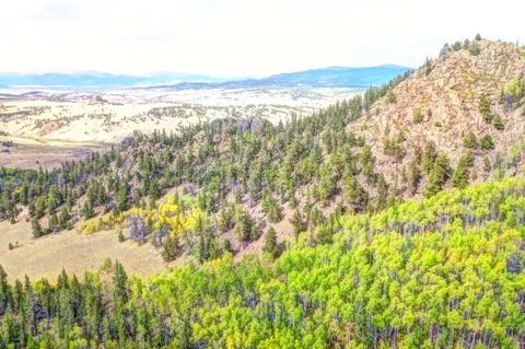57 Fell Pony Ln, Como, CO 80432 photo 4