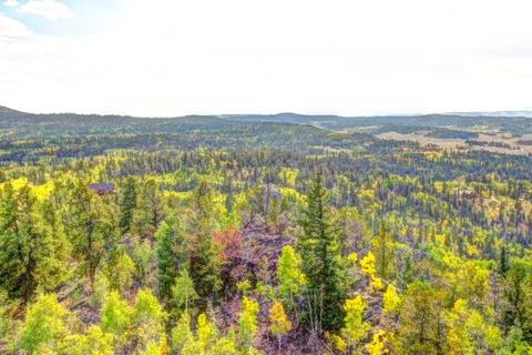 57 Fell Pony Ln, Como, CO 80432 photo 20