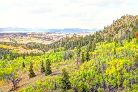 57 Fell Pony Ln, Como, CO 80432 photo 1
