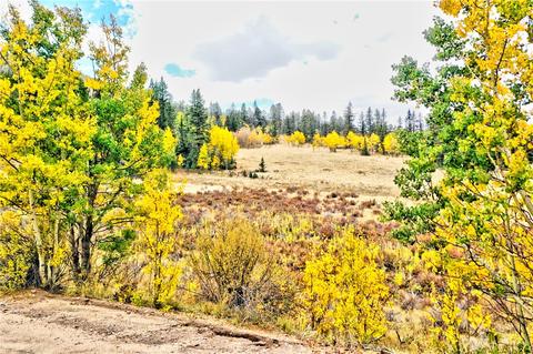 1693 E Longbow Dr, Como, CO 80432 photo 1