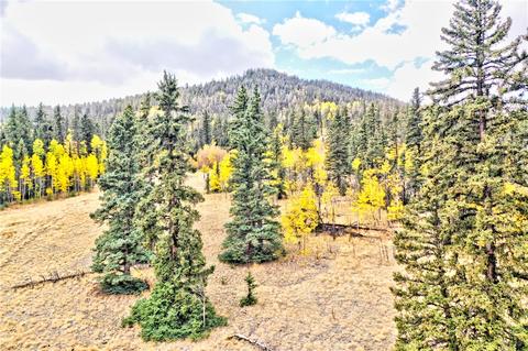 1693 E Longbow Dr, Como, CO 80432 photo 8