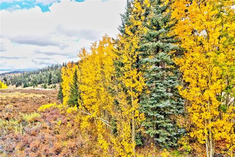1693 E Longbow Dr, Como, CO 80432 photo 3