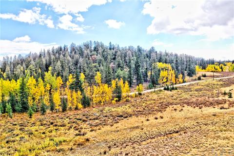 1693 E Longbow Dr, Como, CO 80432 photo 9