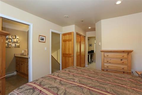1576 S Badger Ln, Silverthorne, CO 80498 photo 19