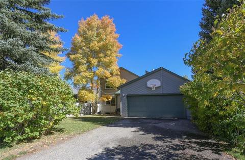 1576 S Badger Ln, Silverthorne, CO 80498 photo 2