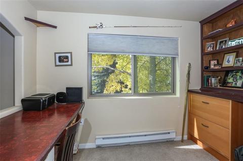 1576 S Badger Ln, Silverthorne, CO 80498 photo 16