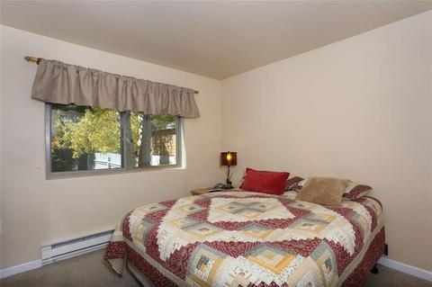 1576 S Badger Ln, Silverthorne, CO 80498 photo 14