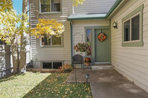 1576 S Badger Ln, Silverthorne, CO 80498 photo 3