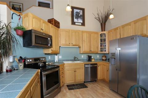 1576 S Badger Ln, Silverthorne, CO 80498 photo 9