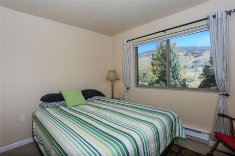 1576 S Badger Ln, Silverthorne, CO 80498 photo 13