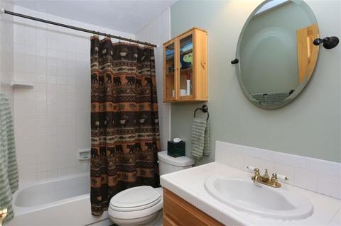 1576 S Badger Ln, Silverthorne, CO 80498 photo 12