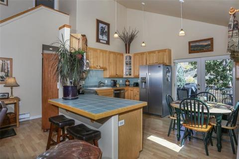 1576 S Badger Ln, Silverthorne, CO 80498 photo 8