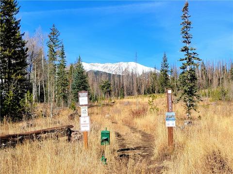 91 Thimbleberry Way, Silverthorne, CO 80498 photo 35