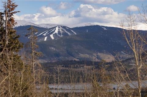 91 Thimbleberry Way, Silverthorne, CO 80498 photo 17