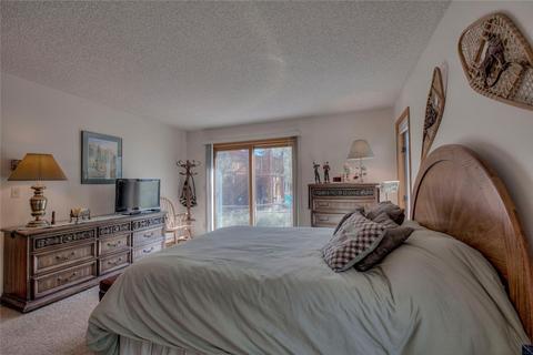 101 N Side Cir, Silverthorne, CO 80498 photo 9