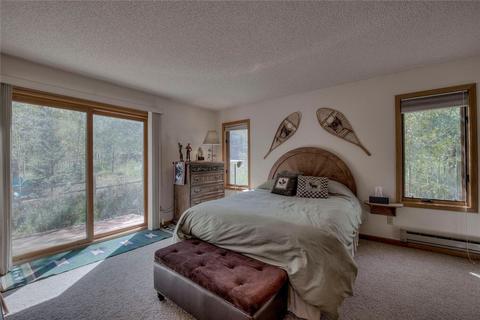 101 N Side Cir, Silverthorne, CO 80498 photo 8