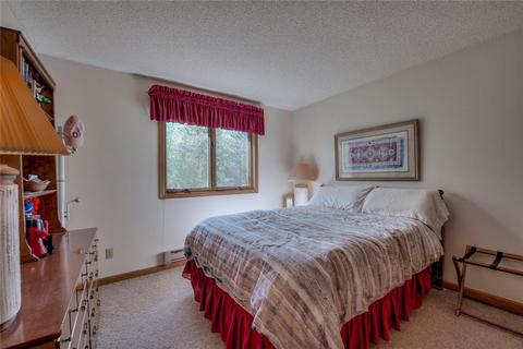 101 N Side Cir, Silverthorne, CO 80498 photo 24