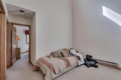 101 N Side Cir, Silverthorne, CO 80498 photo 20