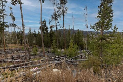 537 Idlewild Dr, Dillon, CO 80435 photo 3