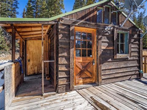 48 5th St, Montezuma, CO 80435 photo 14