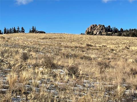 215 Ouray Trl, Como, CO 80432 photo 10
