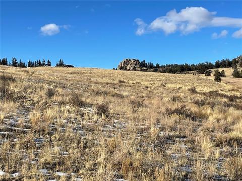 215 Ouray Trl, Como, CO 80432 photo 3