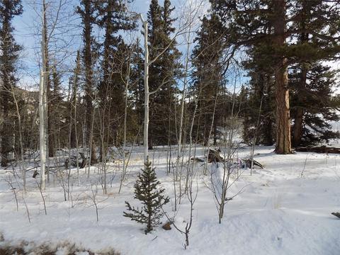 130 Buckshot Trl, Como, CO 80432 photo 2