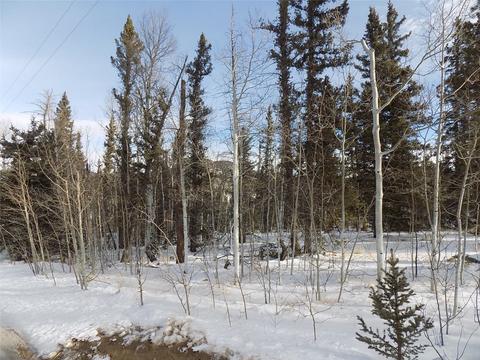 130 Buckshot Trl, Como, CO 80432 photo 5