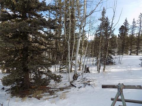 130 Buckshot Trl, Como, CO 80432 photo 1