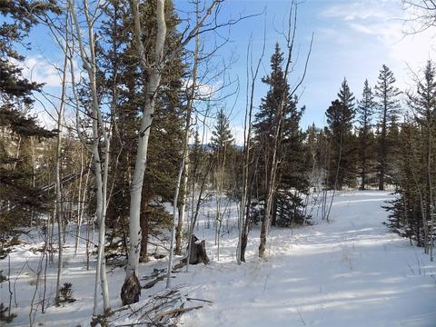 130 Buckshot Trl, Como, CO 80432 photo 4