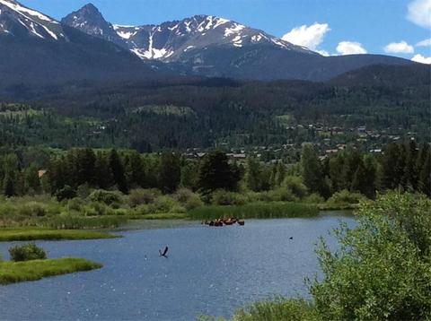 1341 Rainbow Dr, Silverthorne, CO 80498 photo 9