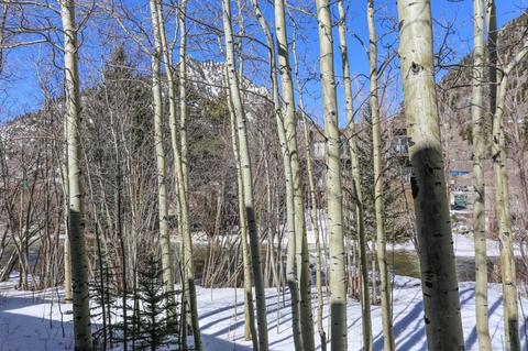 487 W Main St #E, Frisco, CO 80443 photo 30