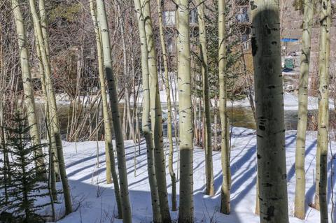 487 W Main St #E, Frisco, CO 80443 photo 29